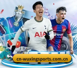 五星体育 APP 界面